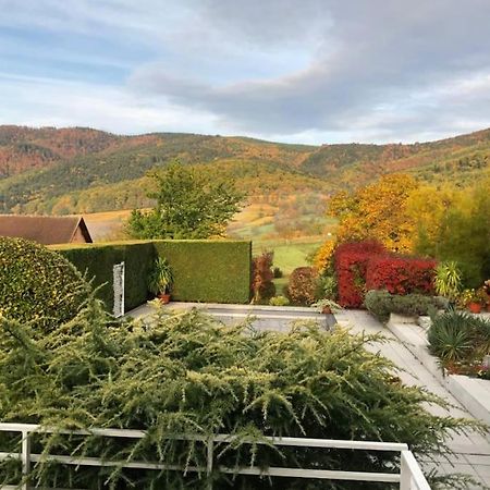 Logement De Charme Au Coeur De La Nature Osenbach Εξωτερικό φωτογραφία