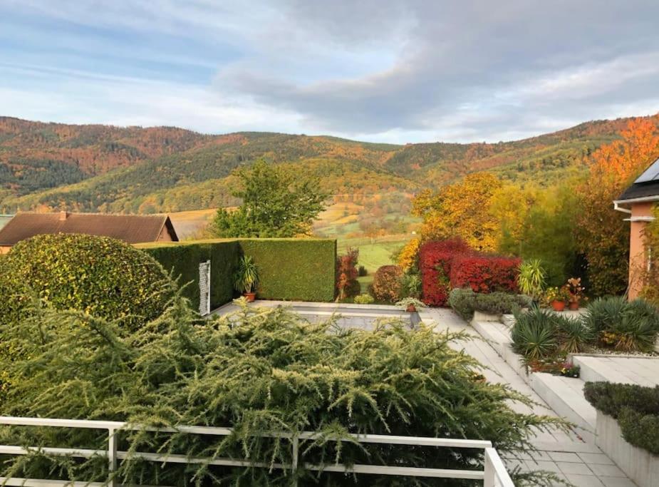 Logement De Charme Au Coeur De La Nature Osenbach Εξωτερικό φωτογραφία