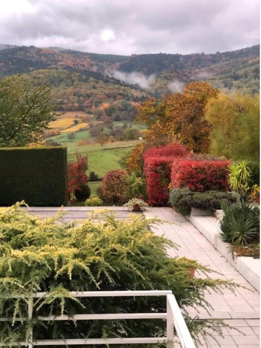 Logement De Charme Au Coeur De La Nature Osenbach Εξωτερικό φωτογραφία