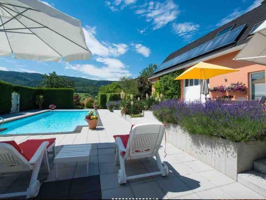 Logement De Charme Au Coeur De La Nature Osenbach Εξωτερικό φωτογραφία